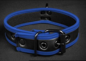 Basic Neoprene Collar