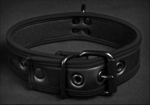 Basic Neoprene Collar