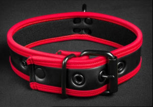 Basic Neoprene Collar