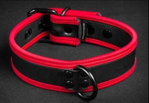 Basic Neoprene Collar