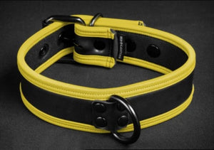 Basic Neoprene Collar