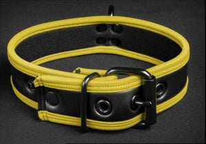 Basic Neoprene Collar
